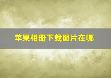 苹果相册下载图片在哪