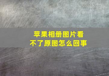 苹果相册图片看不了原图怎么回事