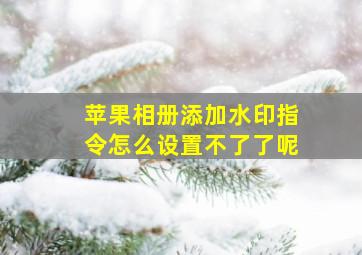 苹果相册添加水印指令怎么设置不了了呢