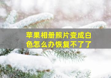 苹果相册照片变成白色怎么办恢复不了了