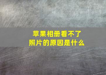 苹果相册看不了照片的原因是什么