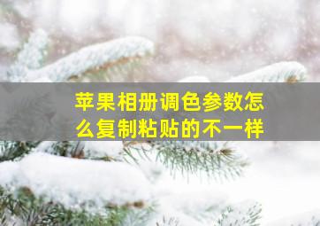 苹果相册调色参数怎么复制粘贴的不一样