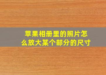 苹果相册里的照片怎么放大某个部分的尺寸