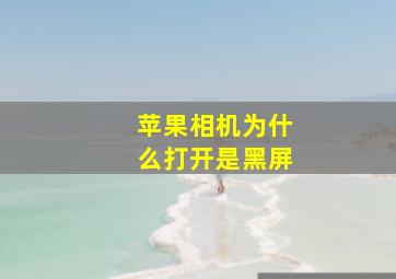 苹果相机为什么打开是黑屏