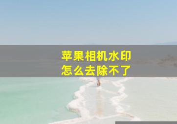 苹果相机水印怎么去除不了