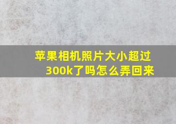 苹果相机照片大小超过300k了吗怎么弄回来