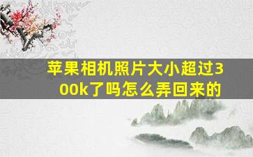 苹果相机照片大小超过300k了吗怎么弄回来的