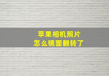 苹果相机照片怎么镜面翻转了