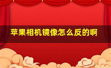 苹果相机镜像怎么反的啊