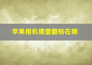 苹果相机镜面翻转在哪