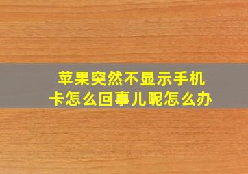 苹果突然不显示手机卡怎么回事儿呢怎么办