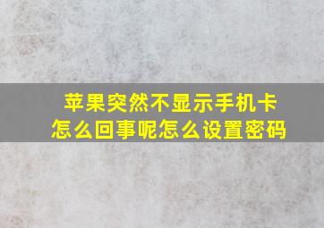 苹果突然不显示手机卡怎么回事呢怎么设置密码