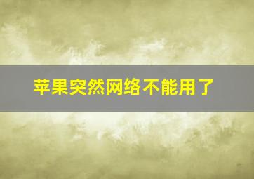 苹果突然网络不能用了