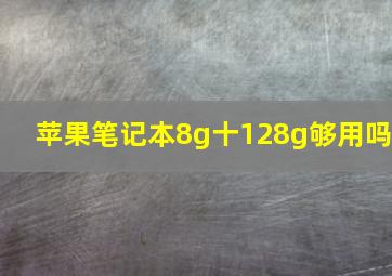 苹果笔记本8g十128g够用吗