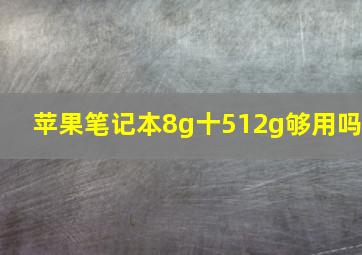 苹果笔记本8g十512g够用吗