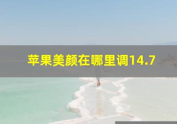 苹果美颜在哪里调14.7