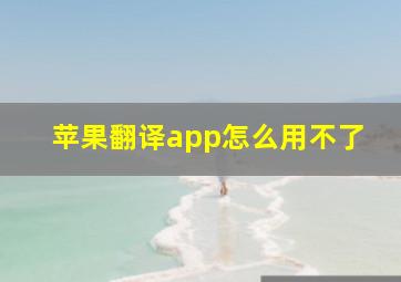 苹果翻译app怎么用不了