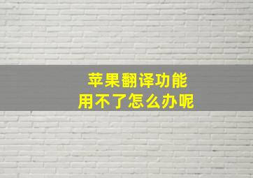 苹果翻译功能用不了怎么办呢