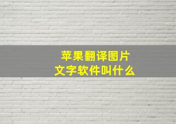 苹果翻译图片文字软件叫什么