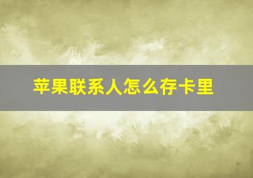 苹果联系人怎么存卡里