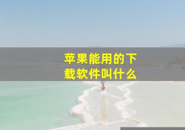 苹果能用的下载软件叫什么