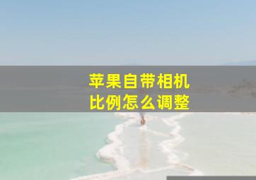 苹果自带相机比例怎么调整