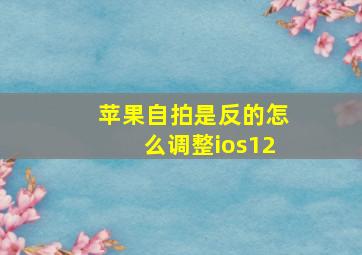 苹果自拍是反的怎么调整ios12