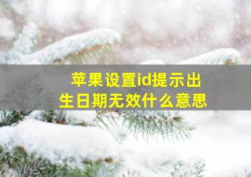 苹果设置id提示出生日期无效什么意思