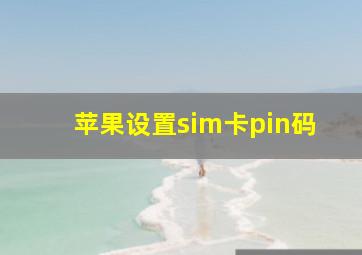 苹果设置sim卡pin码