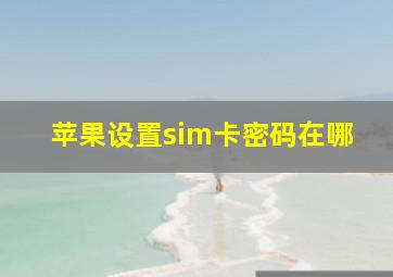 苹果设置sim卡密码在哪