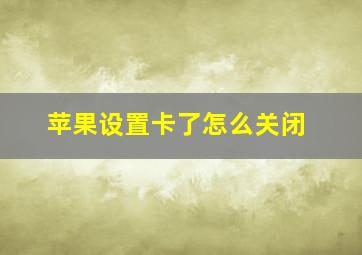 苹果设置卡了怎么关闭