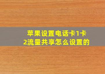 苹果设置电话卡1卡2流量共享怎么设置的