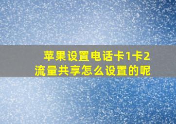 苹果设置电话卡1卡2流量共享怎么设置的呢