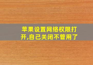 苹果设置网络权限打开,自己关闭不管用了