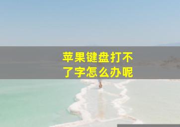 苹果键盘打不了字怎么办呢