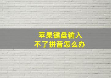 苹果键盘输入不了拼音怎么办