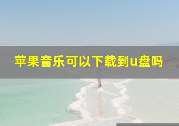 苹果音乐可以下载到u盘吗