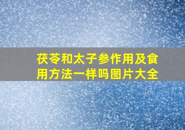 茯苓和太子参作用及食用方法一样吗图片大全