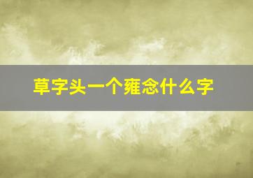 草字头一个雍念什么字