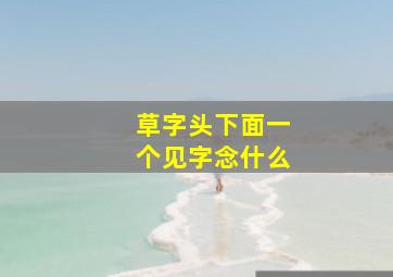 草字头下面一个见字念什么