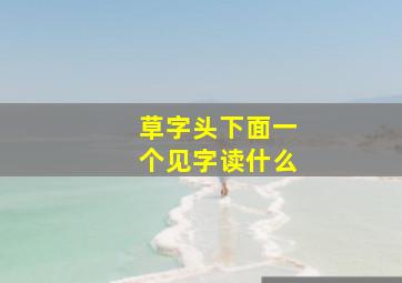 草字头下面一个见字读什么