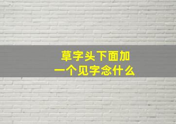 草字头下面加一个见字念什么