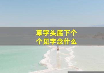 草字头底下个个见字念什么