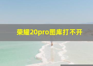 荣耀20pro图库打不开