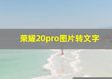 荣耀20pro图片转文字