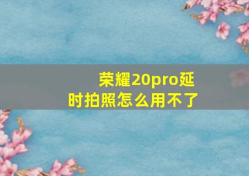 荣耀20pro延时拍照怎么用不了