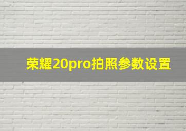 荣耀20pro拍照参数设置