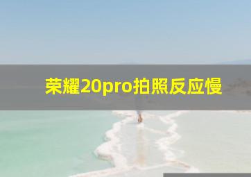 荣耀20pro拍照反应慢