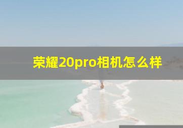 荣耀20pro相机怎么样