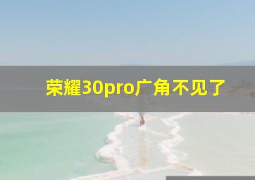 荣耀30pro广角不见了